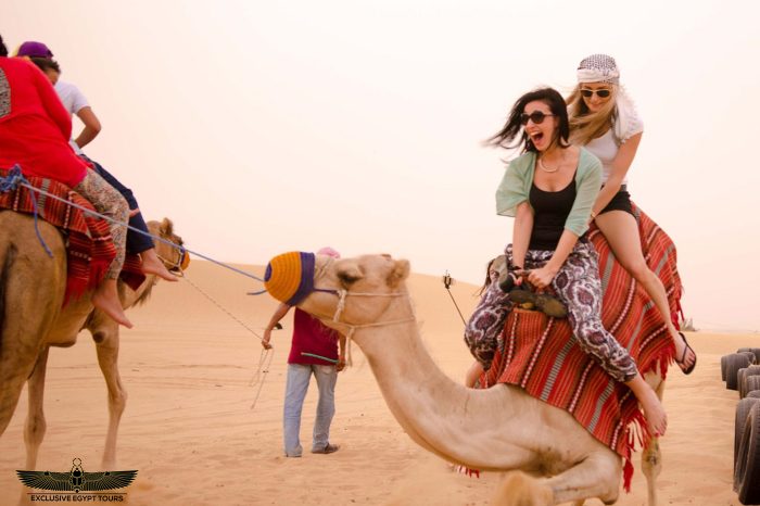 Sharm El Sheikh Desert Safari with Camel & Bike Rides